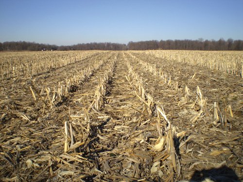 Property photo 27 - 159 Acres Offered in 7 Tracts